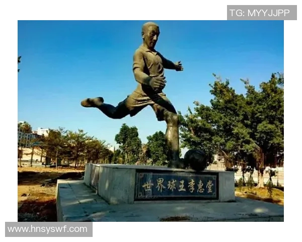 煤球足球明星背后的故事与传奇成就探秘
