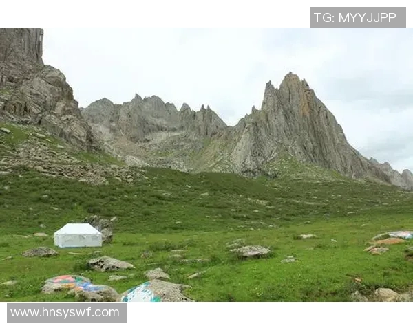 足球明星叶博阿的传奇之路与辉煌成就揭秘 足球明星叶博阿的传奇之路与辉煌成就揭秘