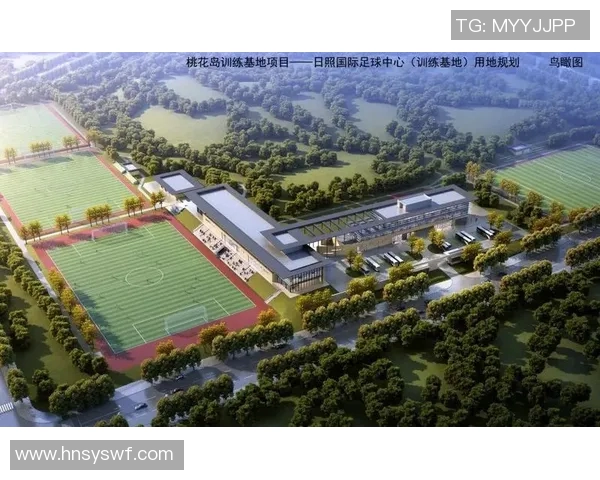 体育赛事如何推动当地经济发展与产业升级的深度分析