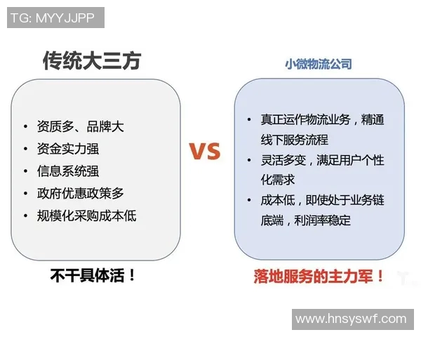 足球明星合同中的多种选项解析与影响因素探讨
